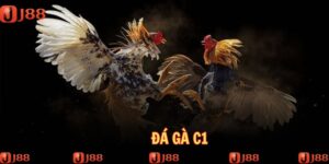 da-ga-c1