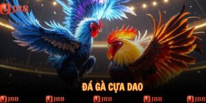 da-ga-cua-dao