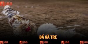 da-ga-tre