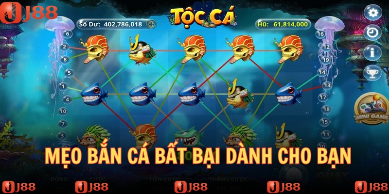 meo-ban-ca-bi-kip